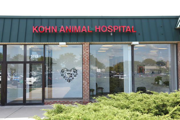 Virtual Office Tour | Veterinarian in Northbrook, IL | Kohn Animal Hospital